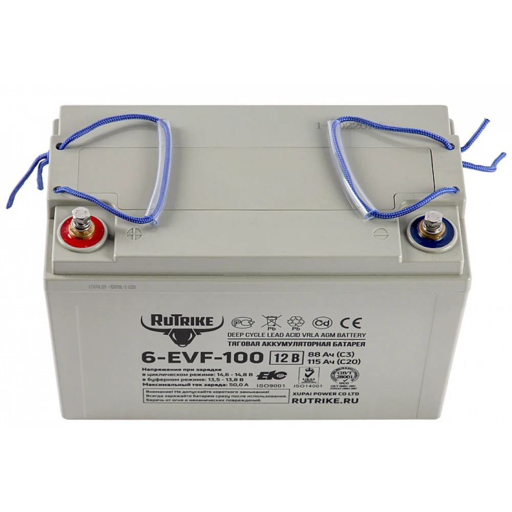 Тяговый аккумулятор RuTrike 6-EVF-100 (12V100A/H C3) 2